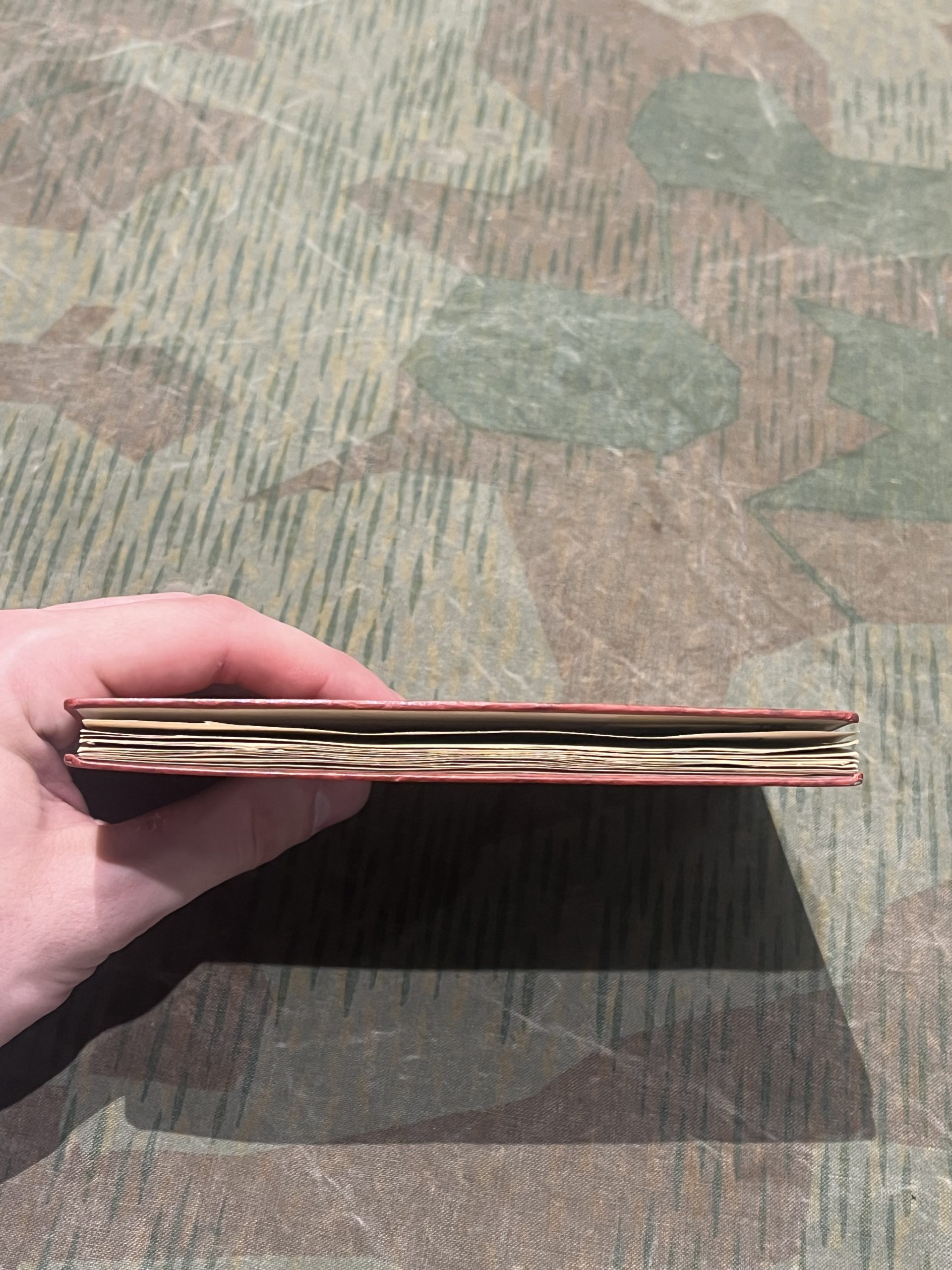 Original WW2 German Deutsche Arbeitsfront (DAF) Membership Book - Image 3