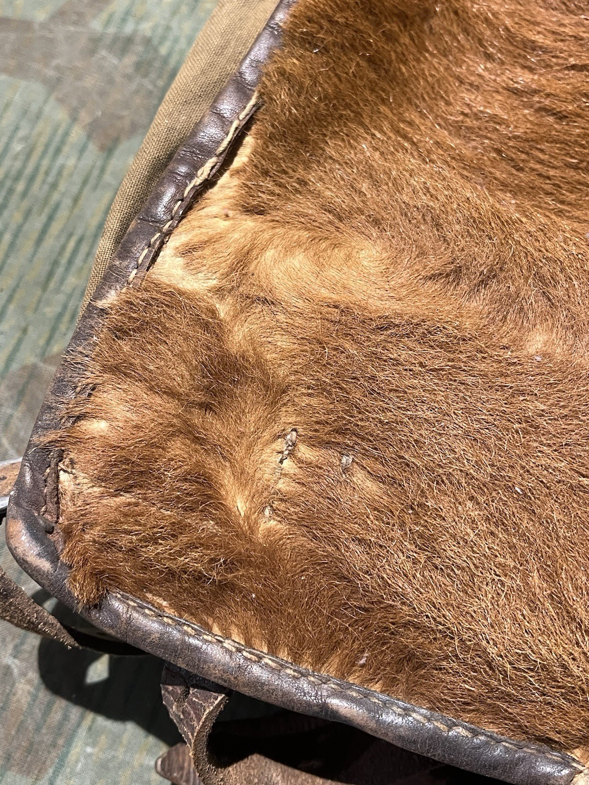 Original WW2 German RAD Uniform M34 Pony Fur Tornister Backpack Marked 1939 - Image 2