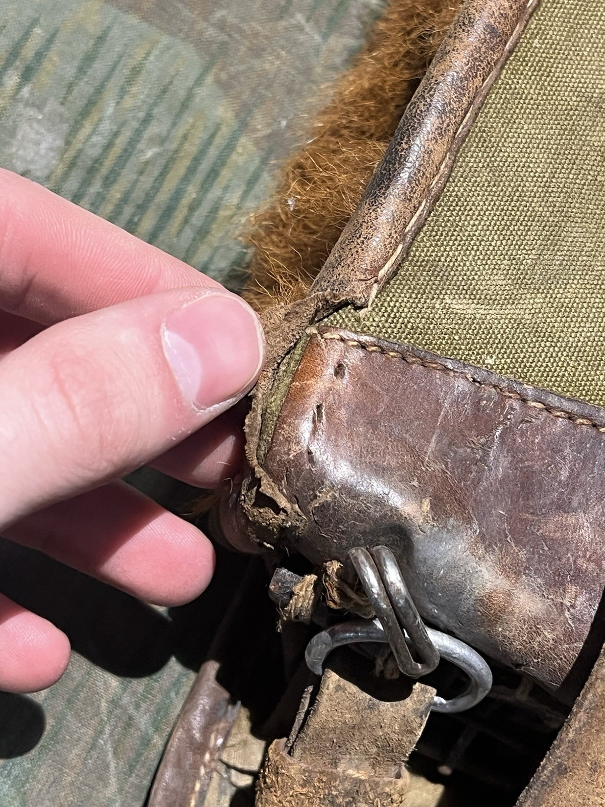 Original WW2 German RAD Uniform M34 Pony Fur Tornister Backpack Marked 1939 - Image 12