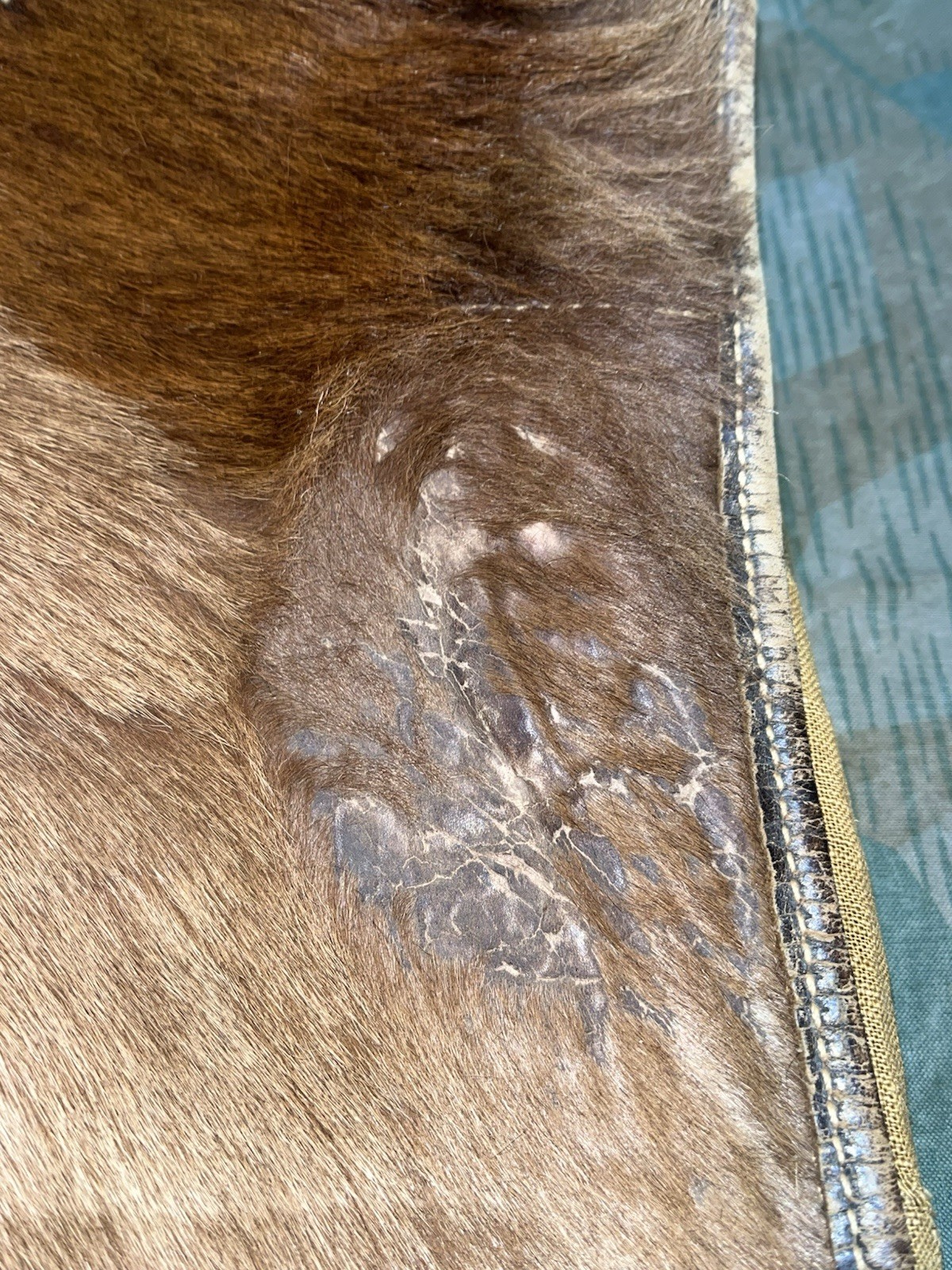 Original WW2 German Uniform M39 Pony Fur Tornister Backpack Marked 1942 - Image 8