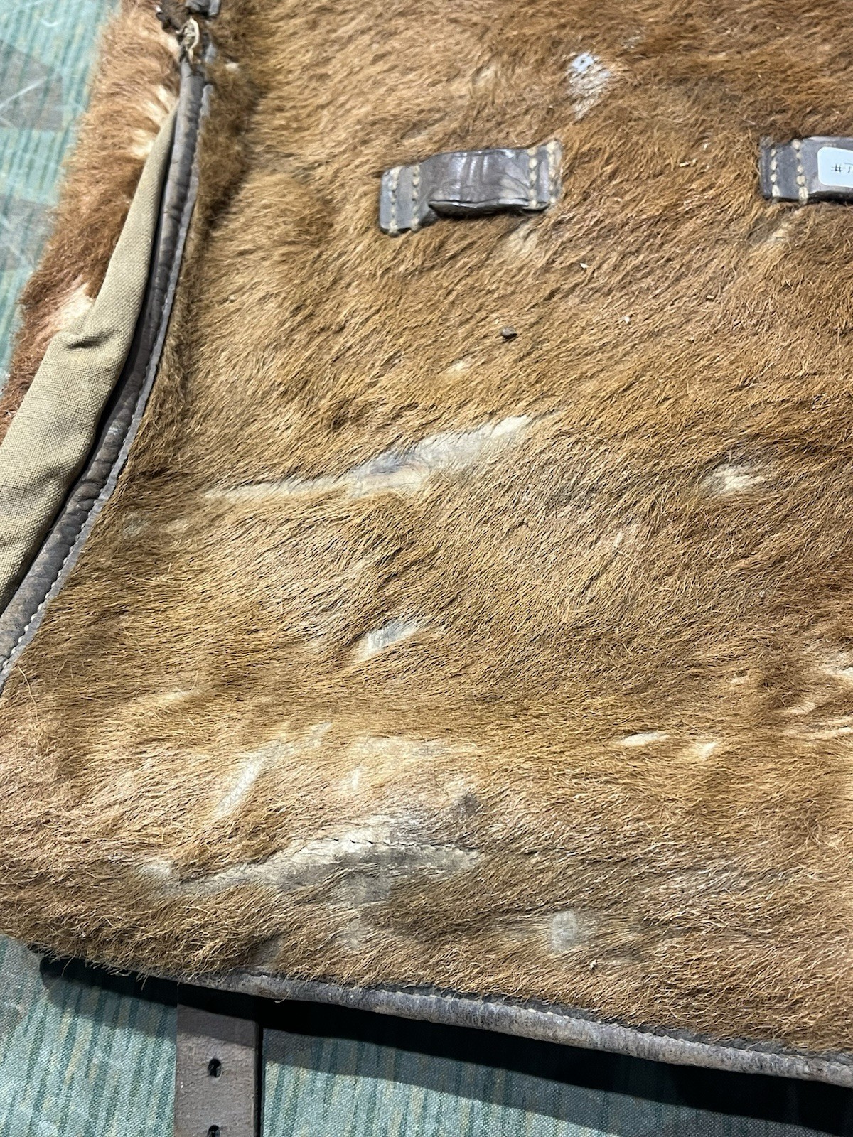 Original WW2 German Uniform M34 Pony Fur Tornister Backpack 1937 Marked - Image 2