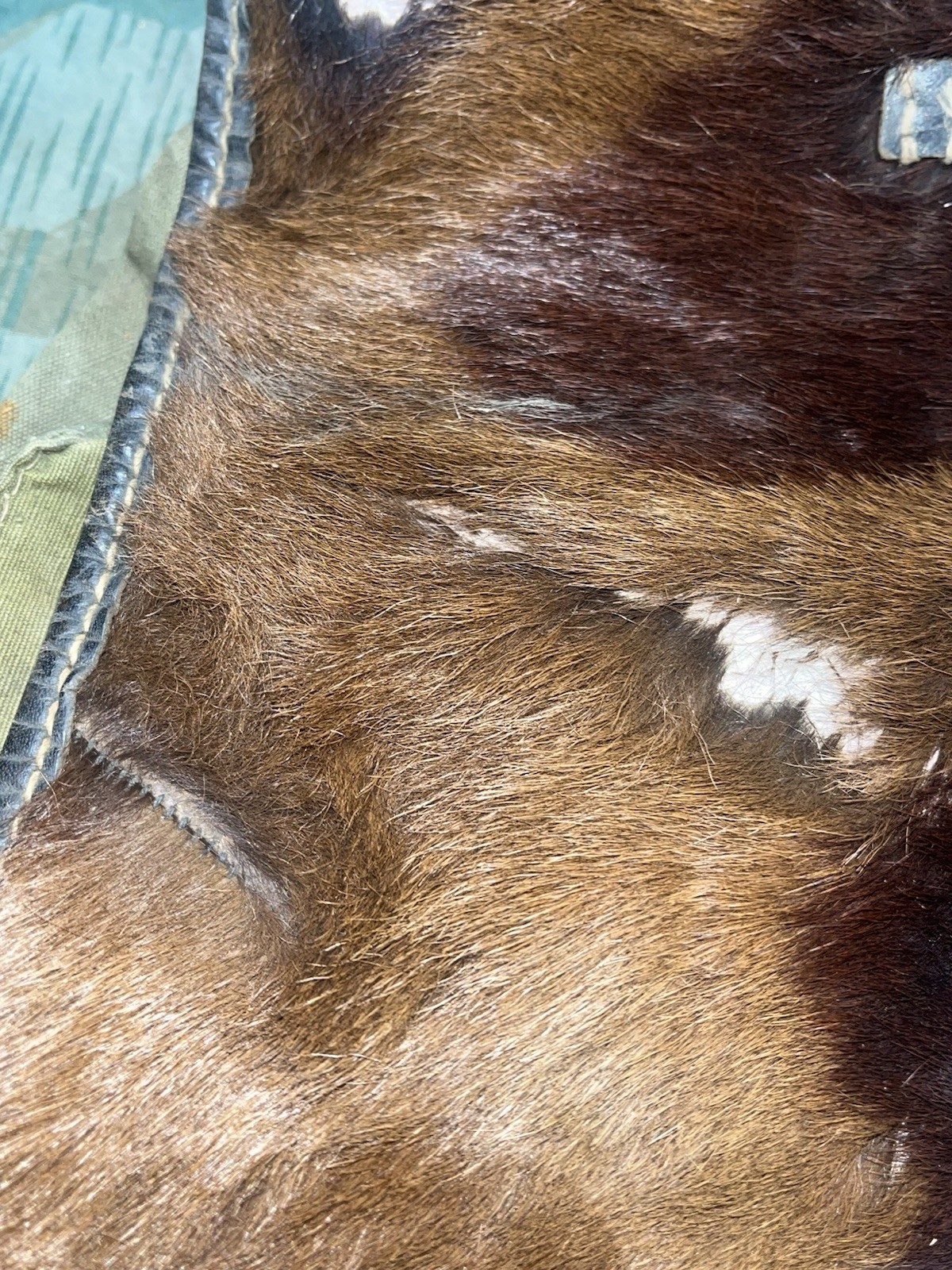 Original WW2 German Uniform M39 Pony Fur Tornister Backpack Marked 0/0783 0043 - Image 3