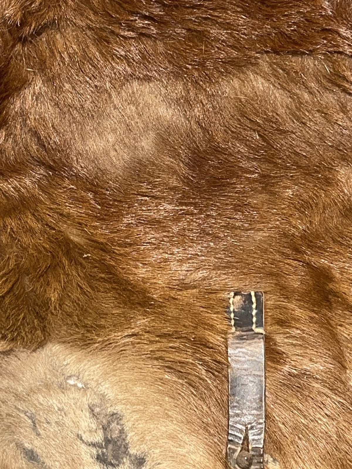 Original WW2 German Uniform M39 Pony Fur Tornister Backpack Marked ayo 42 - Image 4