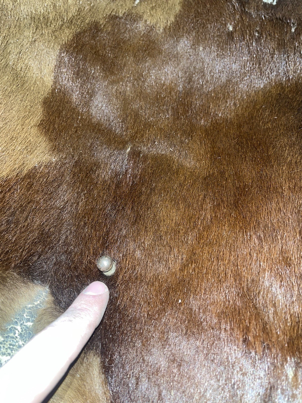 Original WW2 German Uniform M39 Pony Fur Tornister Backpack Marked kzl 43 - Image 3