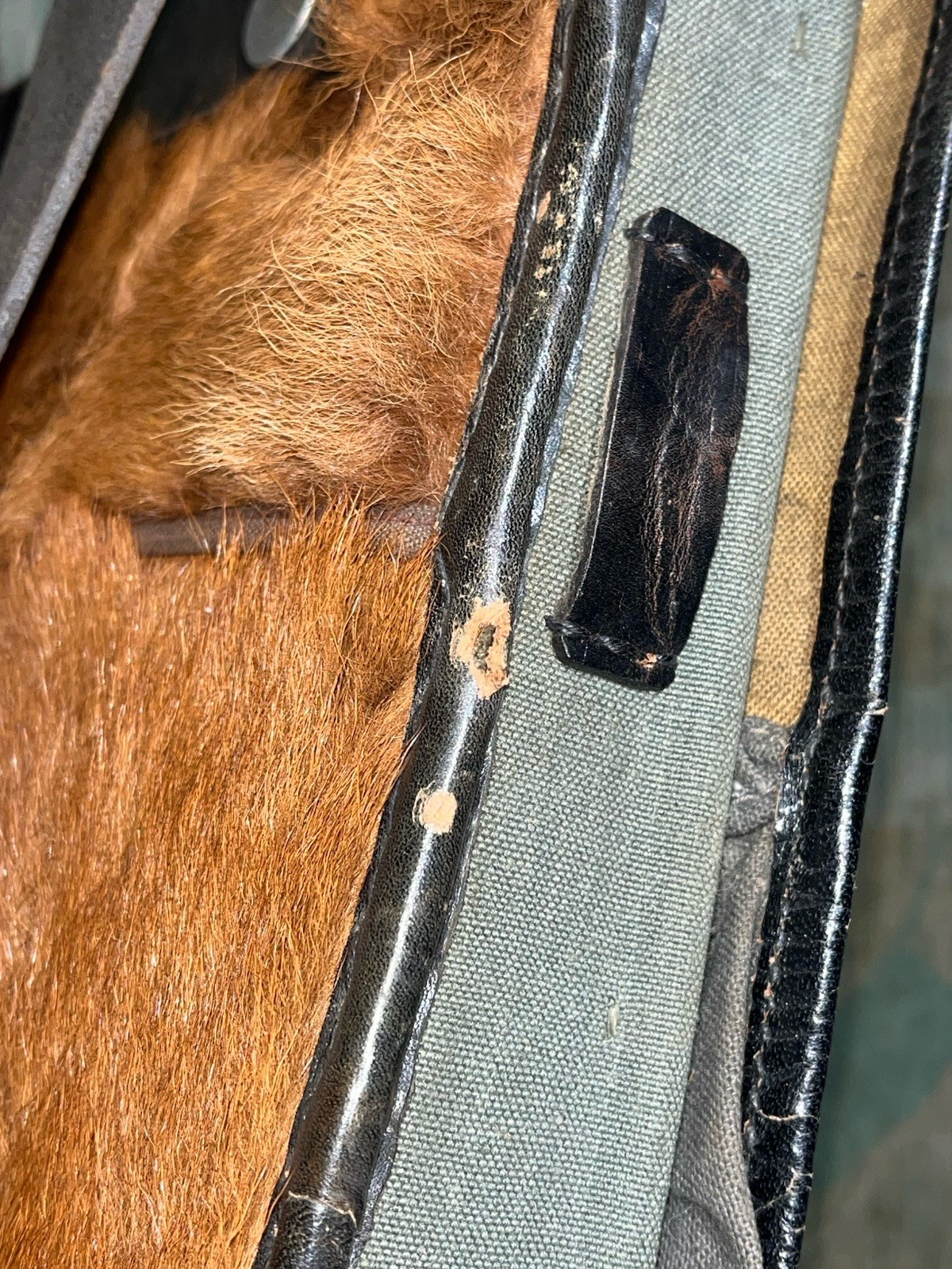Original WW2 German RZM Marked Uniform M34 Pony Fur Horsehair Tornister Backpack - Image 17